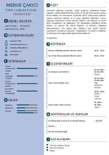 Laboratuvar Teknisyeni Cv Örnekleri cv indir